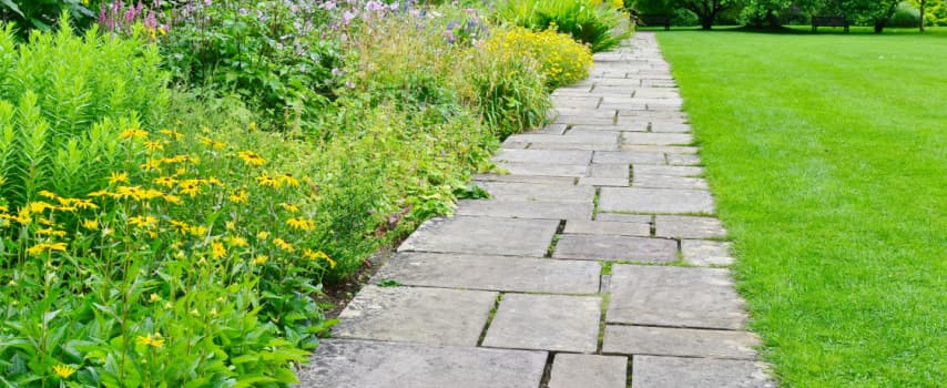 stone paving autumn vibes