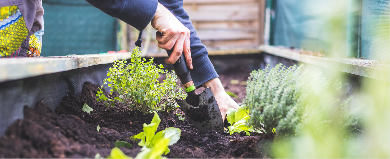 Woman gardening