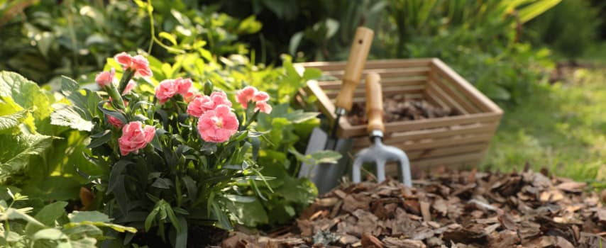 Low-maintenance gardens hacks for beauty and style